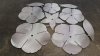 Sanded rose pieces.jpg