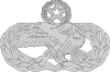 9 Level Maintenance Badge.png